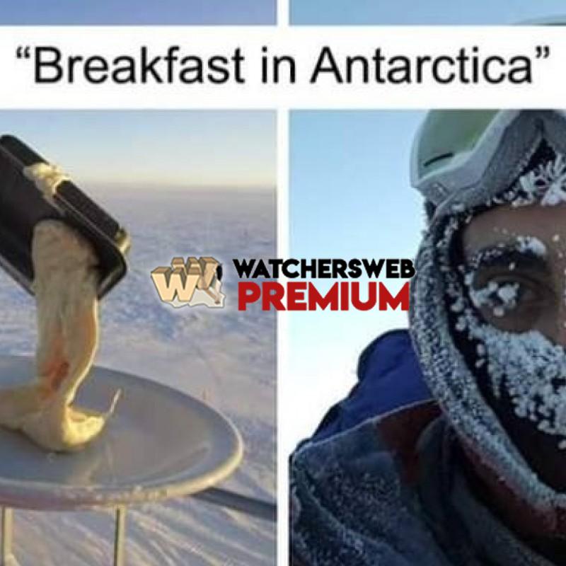 Breakfast In Antarctica - Monique, QLD - Australia