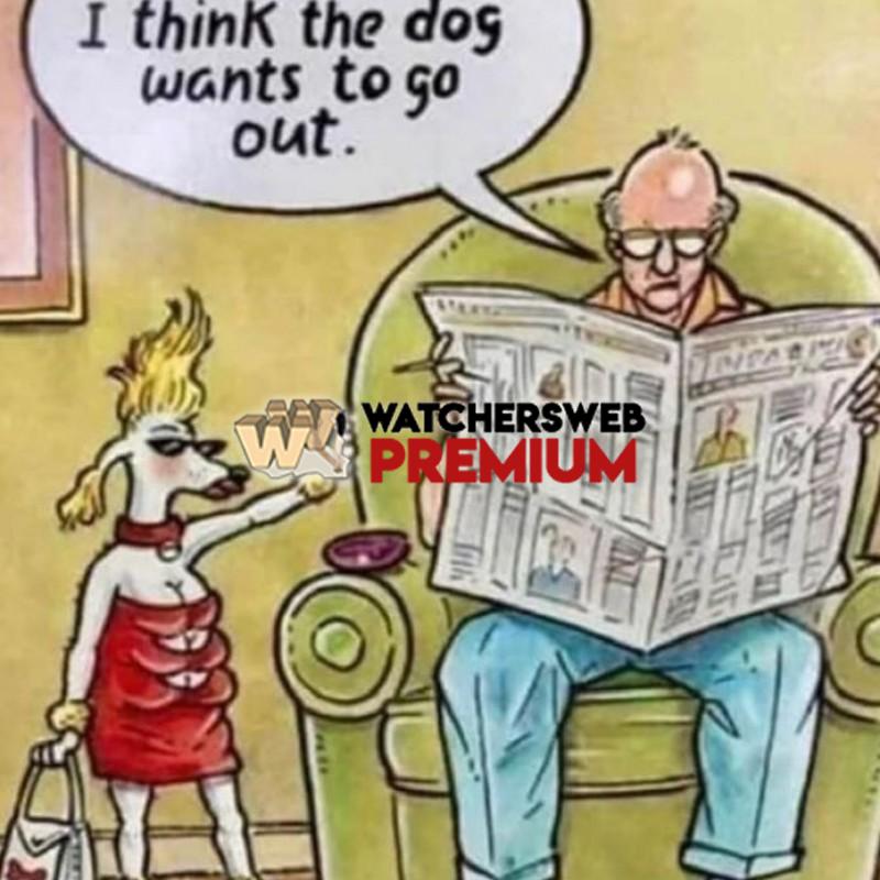 Dog Wants To Go Out! - T2ieb5 - Kamloops, BC, Canada