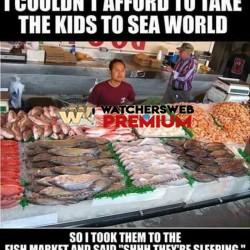 Perfect - Ray - QLD, Australia