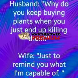 Dangerous - Ray - QLD, Australia