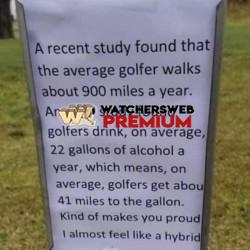 Great Stats - Ray - QLD, Australia