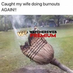 Witch - Ray - QLD, Australia