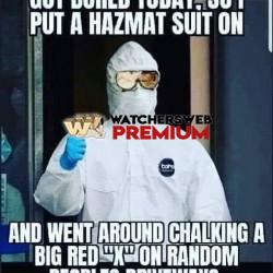 This Would Be Fun - Ray - QLD, Australia