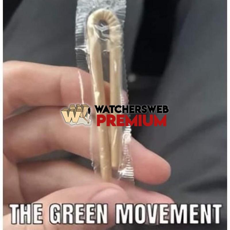 The Mind Boggles - Ray - QLD, Australia