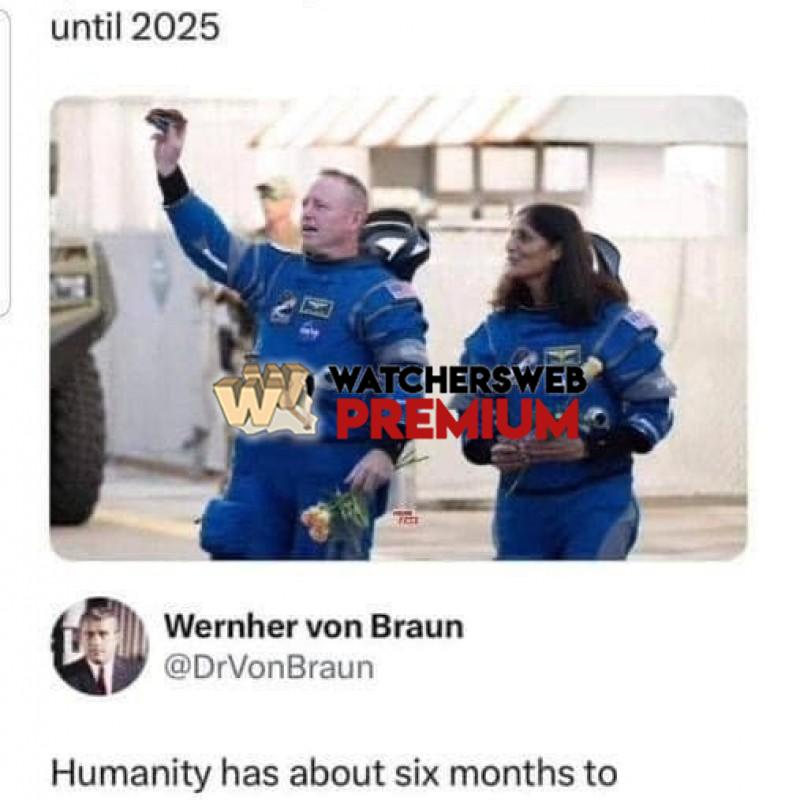 I Would Pay To See It! - Ray - Australia