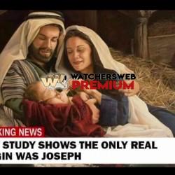 Stitch Up - Ray - QLD, Australia