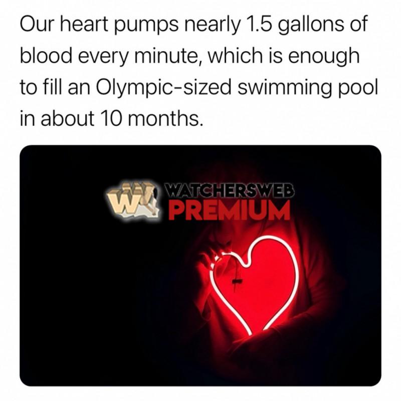 Good Info - Ray - QLD, Australia