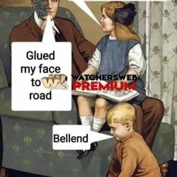 Bellend - Ray - QLD, Australia