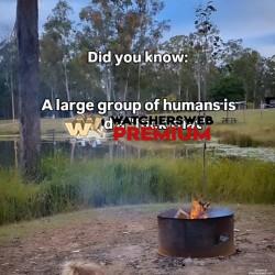 Yep - Ray - QLD, Australia