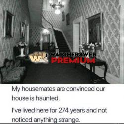 Weird - Ray - QLD, Australia