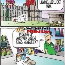 If I Was A Chook - Ray - QLD, Australia