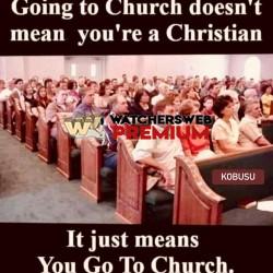 True - Ray - Australia