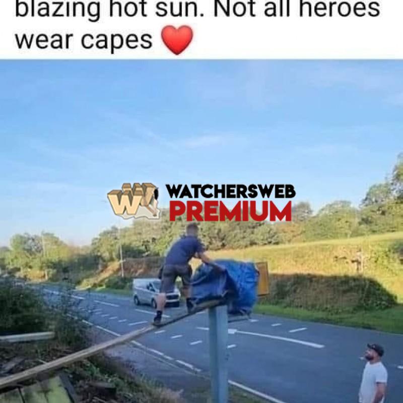 A Hero - Ray - QLD, Australia