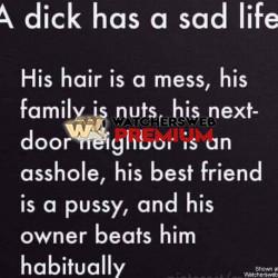 Its True - Ray - QLD, Australia