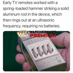 Who Remembers? - Ray - QLD, Australia