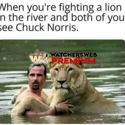 Shits Getting Real - Ray - QLD, Australia