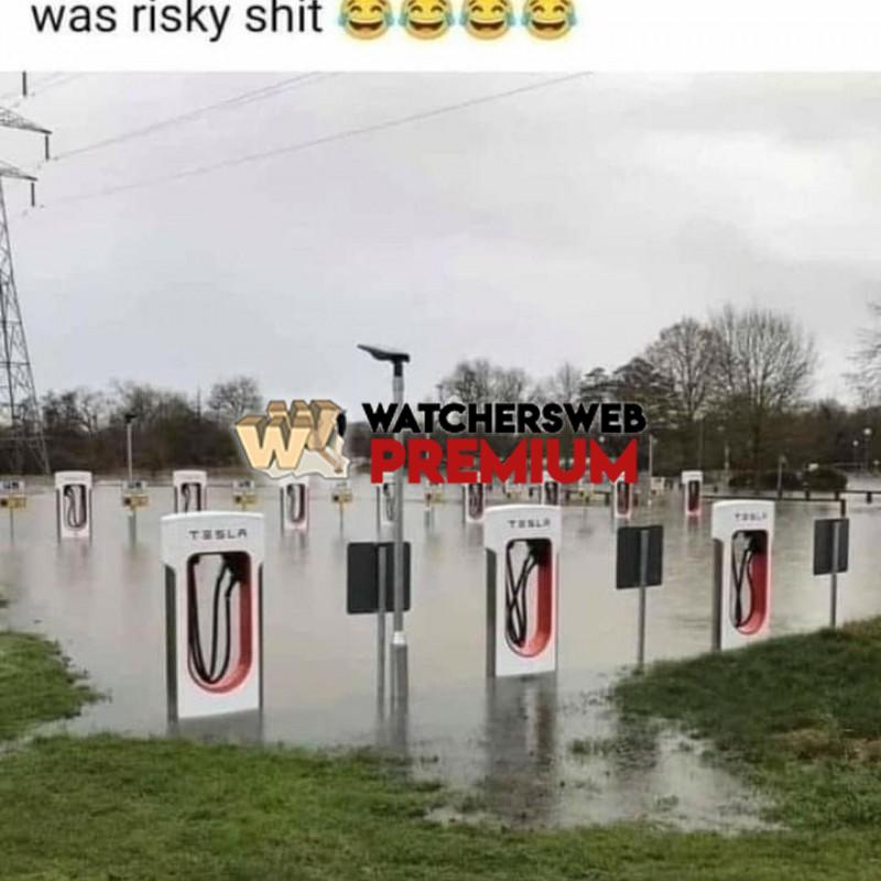 Rubber Boots - Ray - QLD, Australia