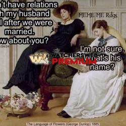 Honest I Guess - Ray - QLD, Australia