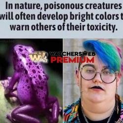 Be Careful - Ray - QLD, Australia