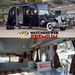 Too Cool - Ray - QLD, Australia