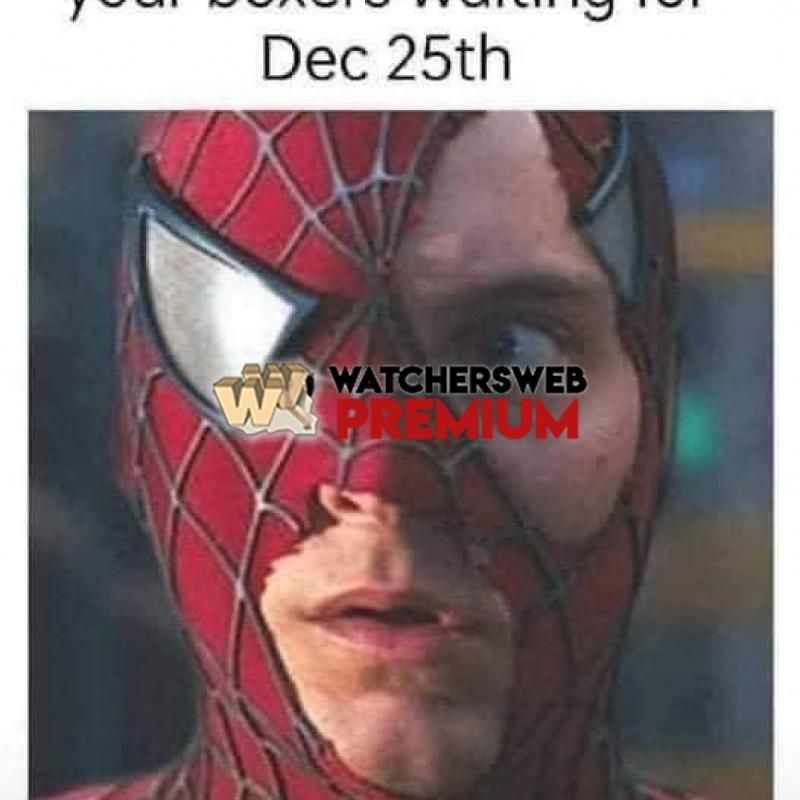 Roll On Christmas - Ray - QLD, Australia