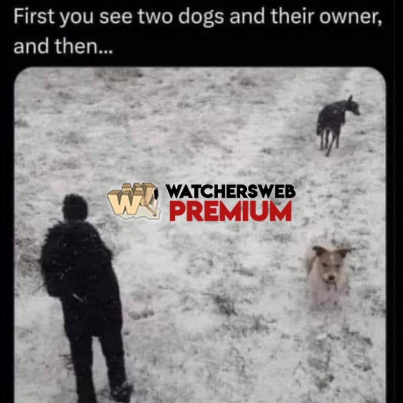 Took Me A While - Ray - QLD, Australia