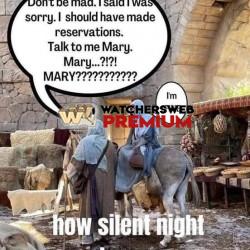 Obviously - Ray - QLD, Australia