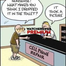 Busted - Ray - QLD, Australia