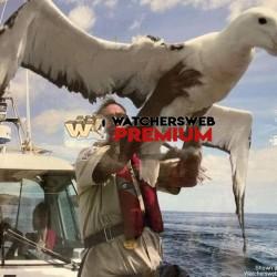 That's Insane - Ray - QLD, Australia