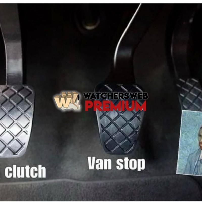 True - Ray - QLD, Australia