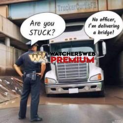 A Bridge Too Far - Ray - QLD, Australia