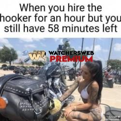 Moneys Worth - Ray - QLD, Australia