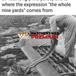 Whole Nine Yards - Ray - QLD, Australia