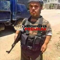 Tiny - Ray - QLD, Australia