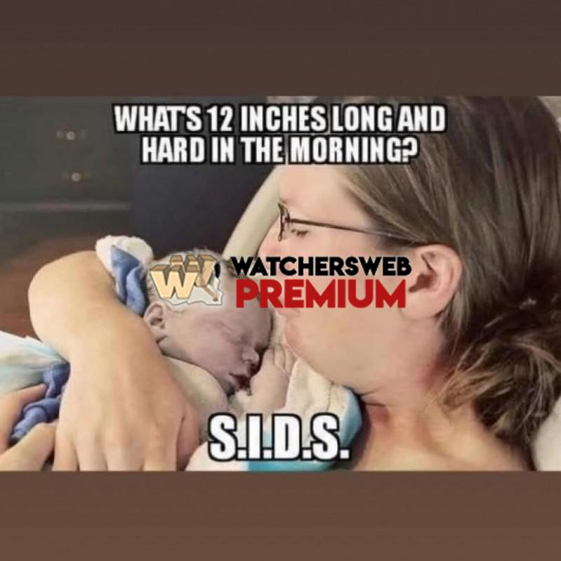 Dont Shoot The Messenger - Ray - QLD, Australia