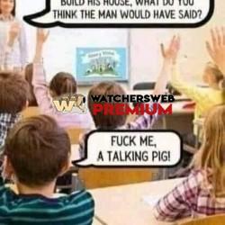 Talking Pig - Ray - QLD, Australia