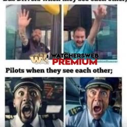 Monday - Ray - QLD, Australia