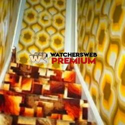 70s Dream - Ray - QLD, Australia