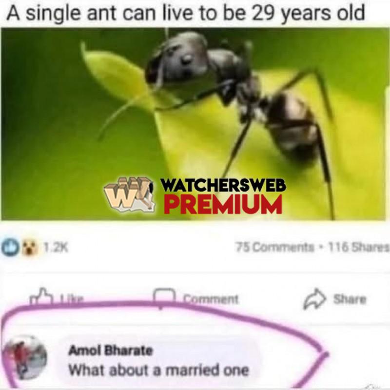 Five? - Ray - QLD, Australia