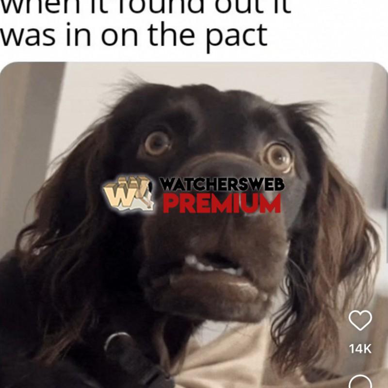 Too Early? - Ray - QLD, Australia