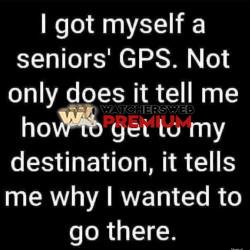 I Need This - Ray - QLD, Australia