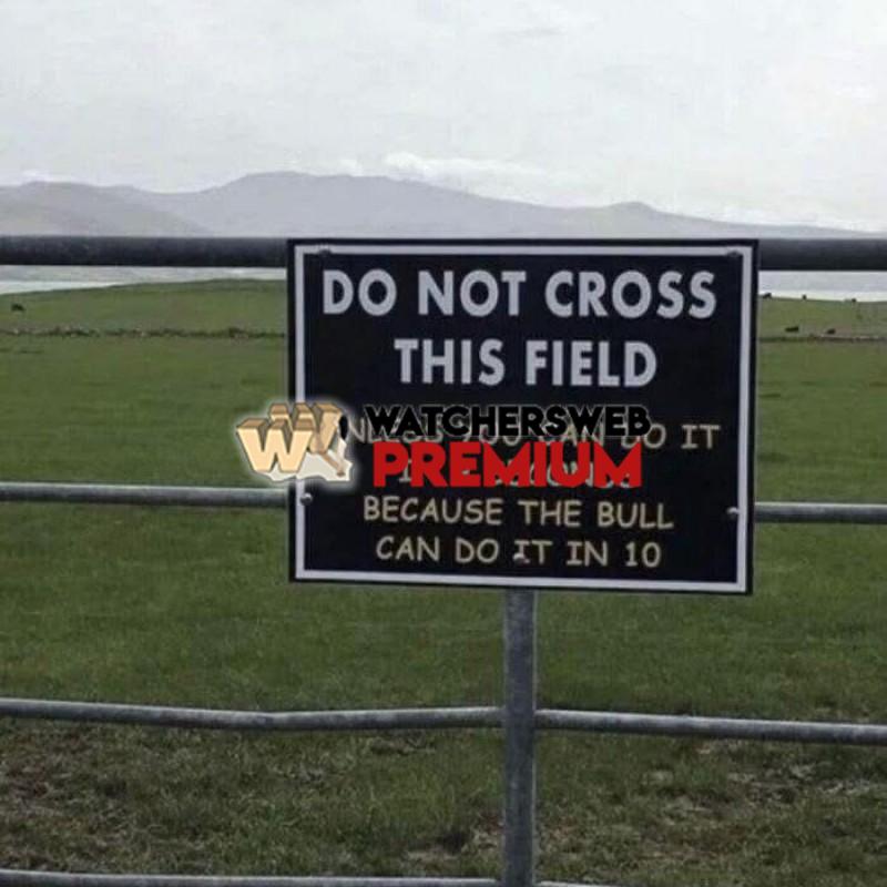 9 Seconds - Ray - QLD, Australia