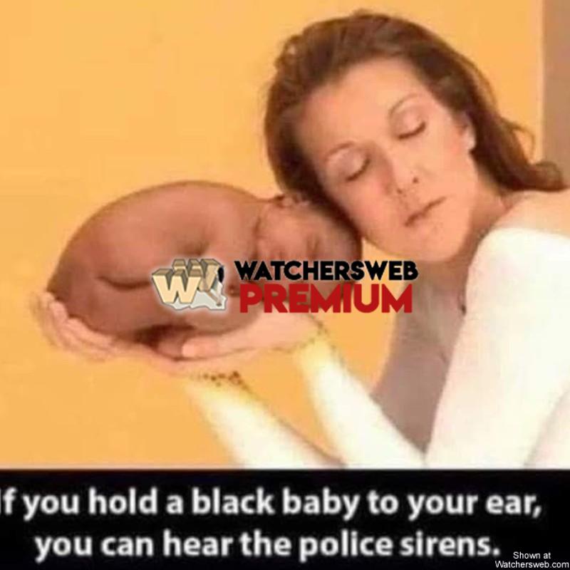 You Can Hear - Ray - QLD, Australia