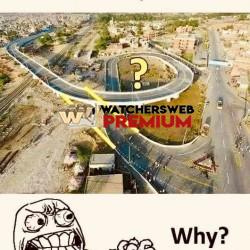 Duh - Ray - QLD, Australia