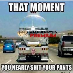 Oh Shit - Ray - QLD, Australia