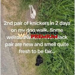 Sick Bastard - Ray - QLD, Australia