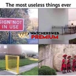 Happy Easter Idiot - Ray - QLD, Australia