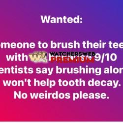 No Weirdos - Ray - QLD, Australia