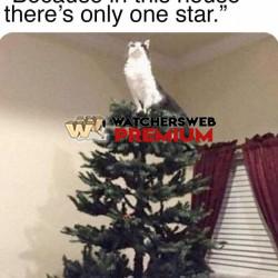 One Star - Monique, QLD - Australia