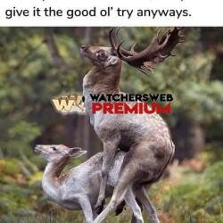 That's Me - Ray - QLD, Australia